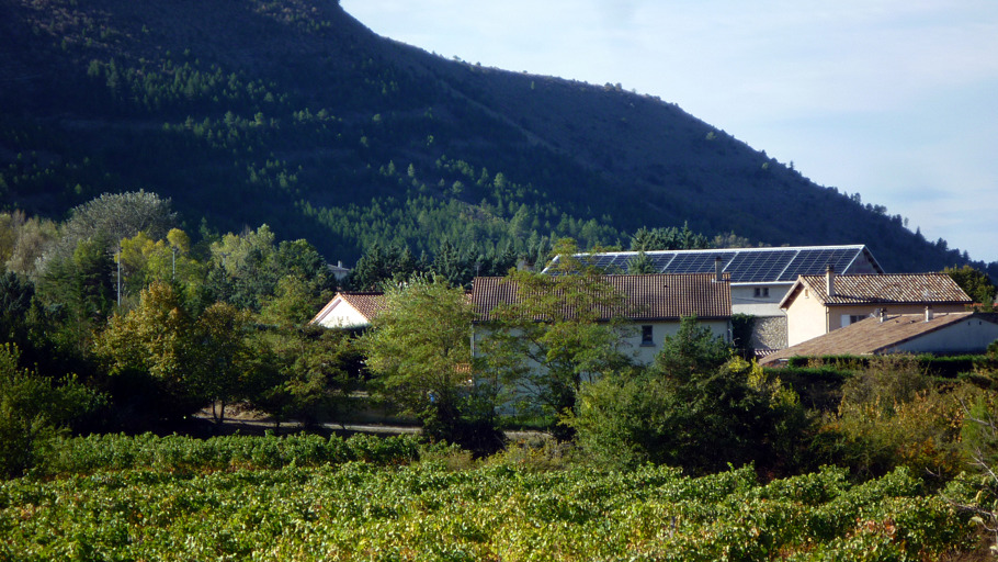 Panneaux solaires sur une maison entourée de verdure