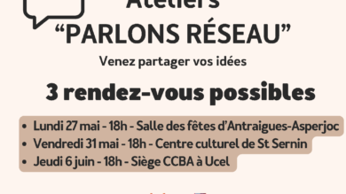 Lecture publique : affiche des ateliers "parlons Réseau"