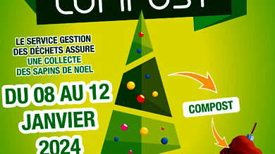 Collecte des sapins du 8 au 12 janvier 2024