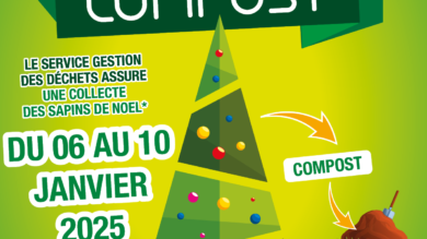 Collecte des sapins du 6 au 10 janvier 2025