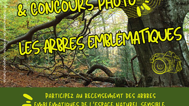 Enquete et concours photos ENS roc de gourdon 2025